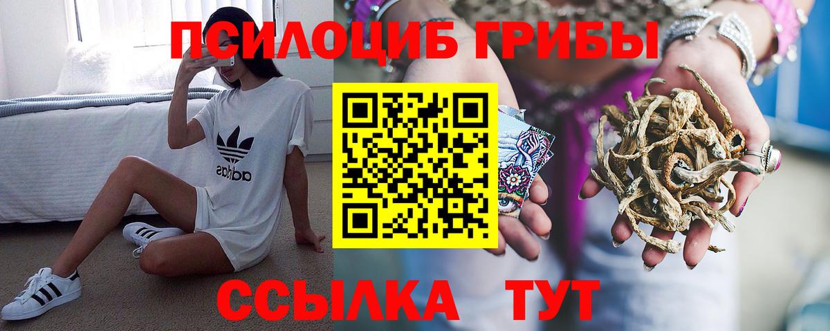 Галлюциногенные грибы мицелий  Вход с VPN  Кондопога 